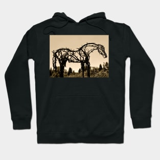 Wooden Horse at Sunset Hoodie